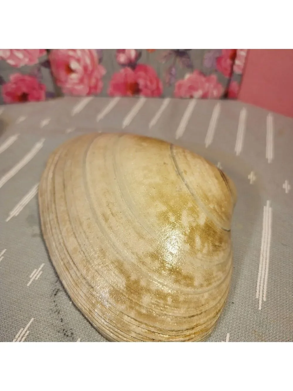 DECOUPAGE CLAM SHELL DECOUPAGE ROSES 🌹 ON A CLAM SHELL TRINKET DISH